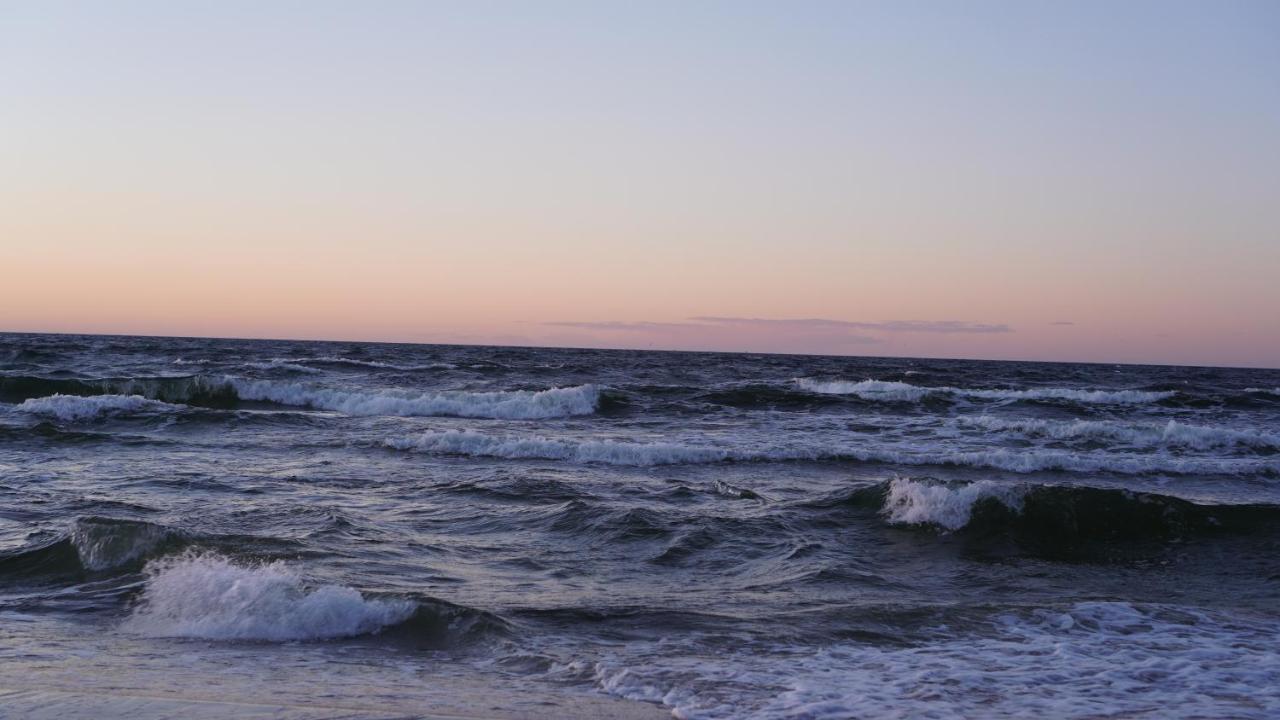 Wind Rose Kolobrzeg