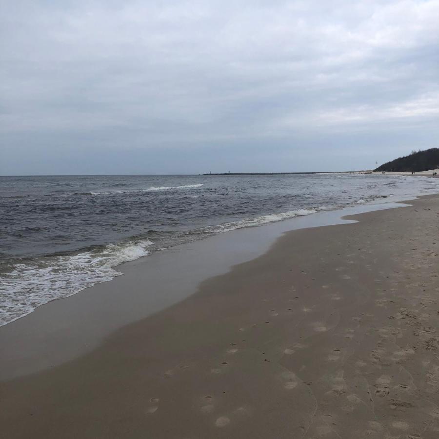 Wind Rose Kolobrzeg